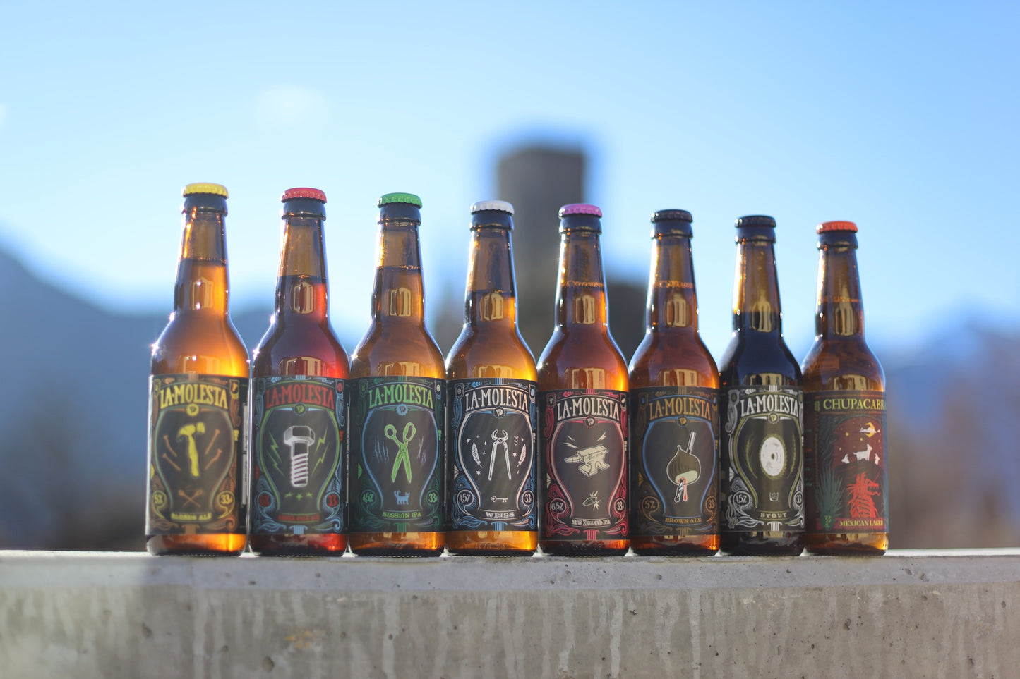 Confezioni 12 birre PD Beer